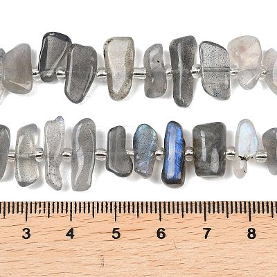 Natural Labradorite Beads Strands G-C273-B01-1