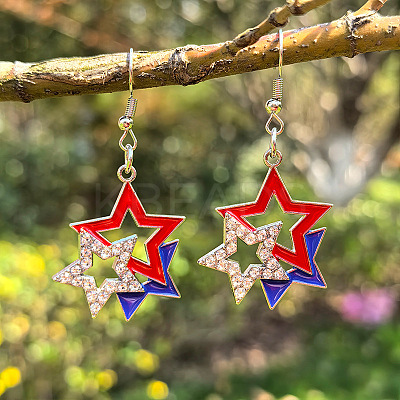 Independence Day Theme Alloy Enamel Dangle Earrings FS-WGE9304-04-1
