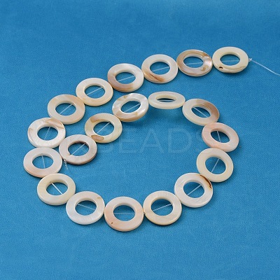 Natural White Shell Beads Strands X-PBB-XXBK014Y-13-1