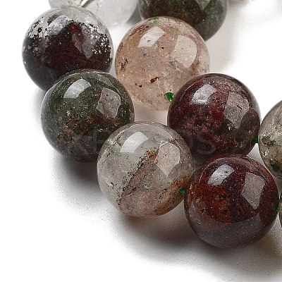 Natural Four Seasons Lodolite Quartz Beads Strands G-Z063-A02-01-1