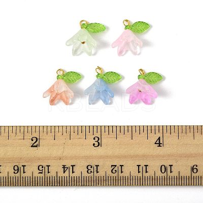 50Pcs Transparent Acrylic Pendants PALLOY-FS00043-01-1