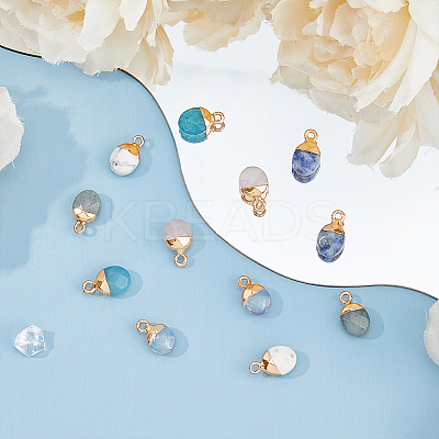 12Pcs 6 Styles Electroplated Natural & Synthetic Mixed Gemstone Faceted Oval Charms G-FH0002-15-1