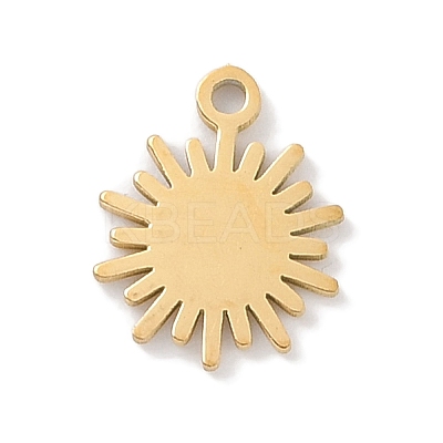 304 Stainless Steel Charms STAS-K286-01H-G-1