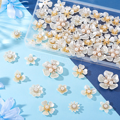 56Pcs 8 Styles Plastic & Resin Cabochons FIND-TA0008-28-1