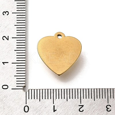 304 Stainless Steel Pendants STAS-Q346-06G-02-1