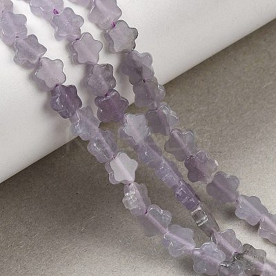 Natural Lepidolite/Purple Mica Stone Beads Strands G-B138-C18-01-1