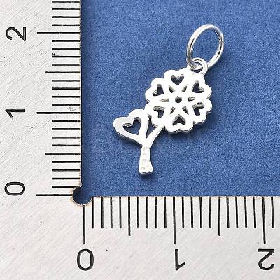 925 Sterling Silver Charms STER-S009-01A-S-1