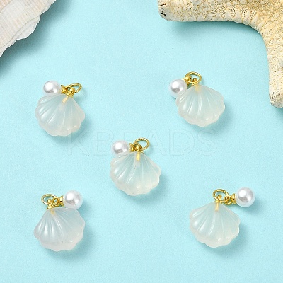 5Pcs Natural Agate Shell Shaped Pendants G-YW0002-43-1