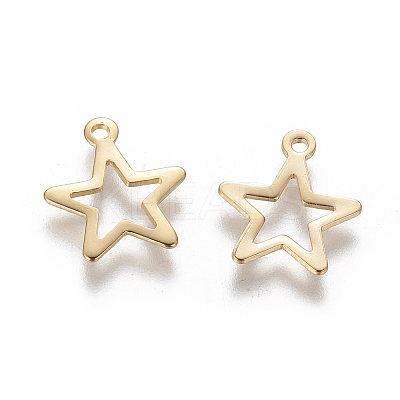 201 Stainless Steel Charms LS-STAS-L233-046G-1