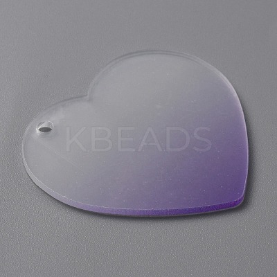 Gradient Transparent Acrylic Disc Big Pendants FIND-WH0032-54E-1