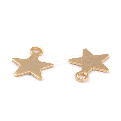 201 Stainless Steel Charms STAS-B001-14A-G-1