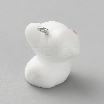 Opaque Resin Pendants FIND-CJC0437-023P-05-1