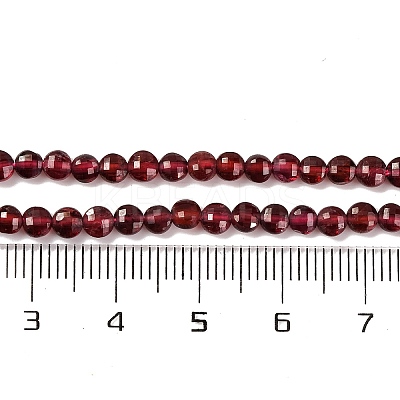 Natural Garnet Beads Strands G-F770-B02-01-1