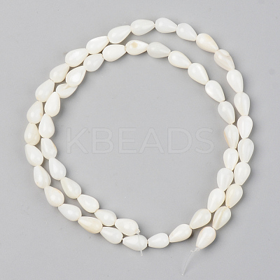 Natural Freshwater Shell Beads Strands SSHEL-R048-007B-1