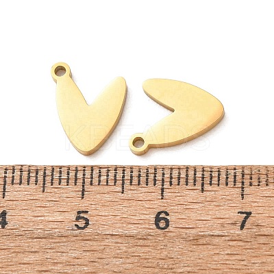 304 Stainless Steel Charms SA-G606-02G-1