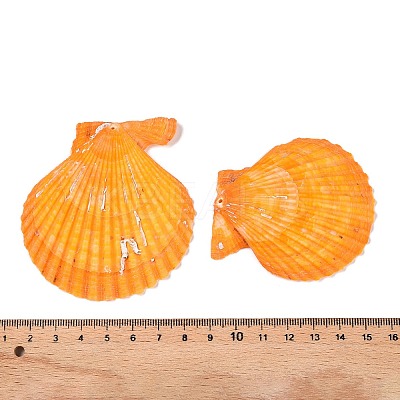 Undyed Natural Scallop Shell Big Pendants SHEL-T020-01-1