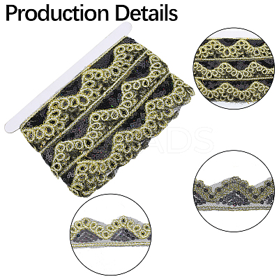 Sparkle Polyester Lace Ribbon SRIB-WH20020-049D-1