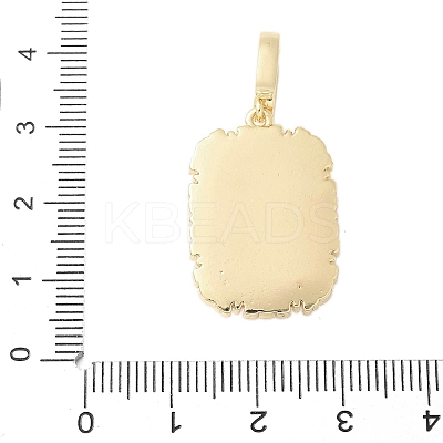 Brass Enamel Pendants LS-KK-F886-01G-09-1