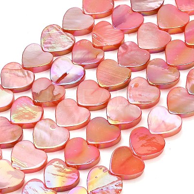 Natural Freshwater Shell Beads Strands SH-CBA93AD-06C-1