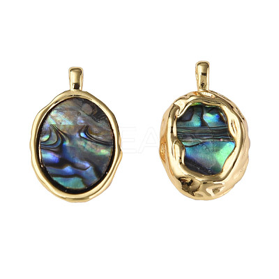 Synthetic Abalone Shell/Paua Shell Pendants KK-N233-254-1