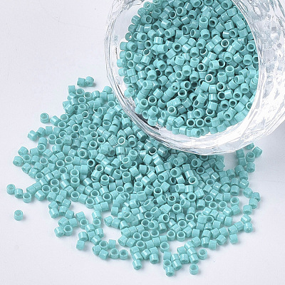 FGB 11/0 Grade A Glass Seed Beads X-SEED-S030-0729-1