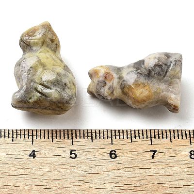 Natural Crazy AgateCarved Figurines DJEW-L023-B05-1