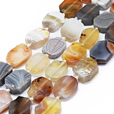 Natural Botswana Agate Beads Strands G-F725-14-1