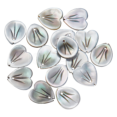 16Pcs 2 Styles Natural Black Lip Shell Charms SSHEL-GA0001-09-1