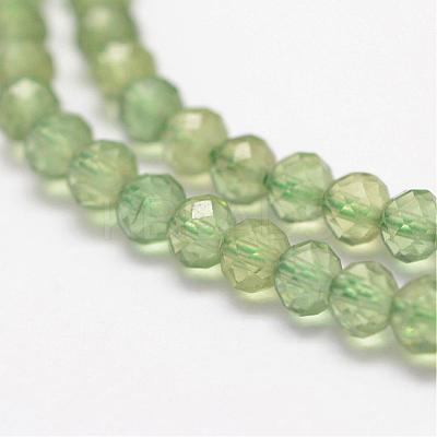 Natural Green Apatite Beads Strands G-F460-58-1