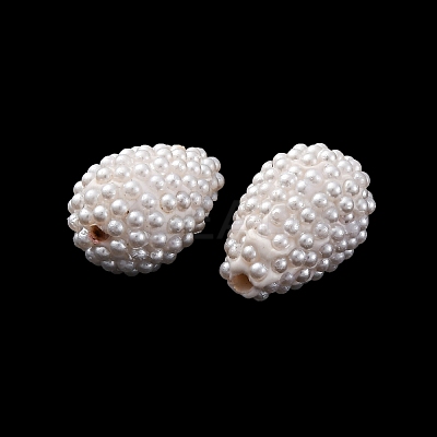 Handmade Polymer Clay Beads KK-F894-17-1