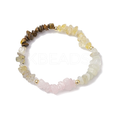 Leo Guardian Gemstone Stretch Bracelets BJEW-JB11108-07-1