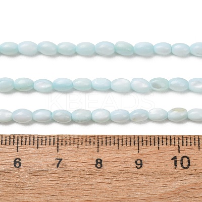 Dyed Natural Freshwater Shell Beads Strands SH-CBA2978-06C-1