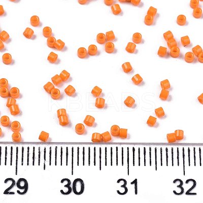 FGB 11/0 Grade A Glass Seed Beads SEED-S030-1019-1