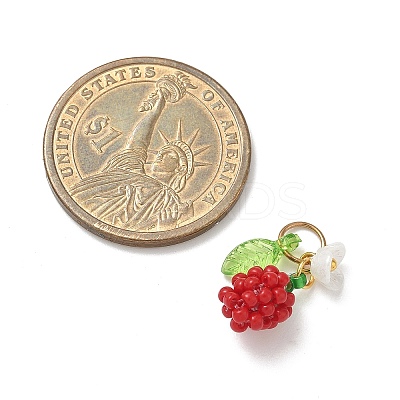 Glass Seed Beaded Pendants PALLOY-MZ00906-1