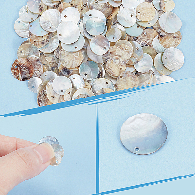 240Pcs 3 Styles Natural Akoya Shell Flat Round Charms BSHE-PH0001-35-1