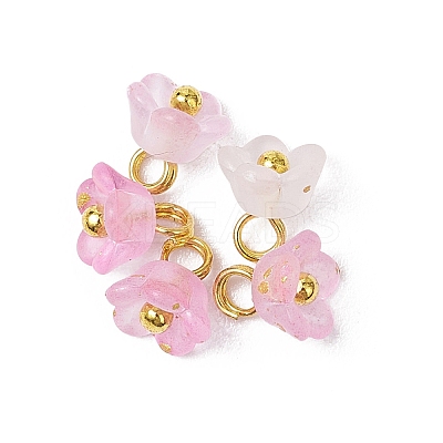 60Pcs 12 Colors Frosted Acrylic Flower Charms PALLOY-JF03550-1