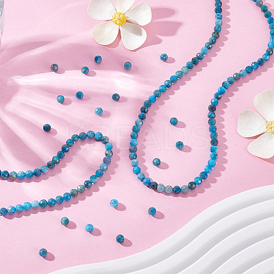 2 Strands Natural Apatite Beads Strands G-HY0001-94-1