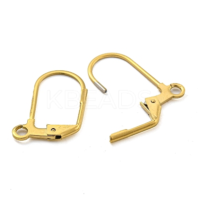 Ion Plating(IP) 304 Stainless Steel Leverback Earring Findings LS-STAS-P360-02B-G-1