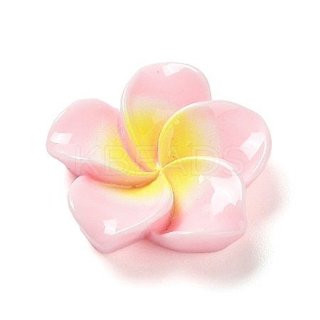 Opaque Resin Cabochons RESI-G068-02D-1