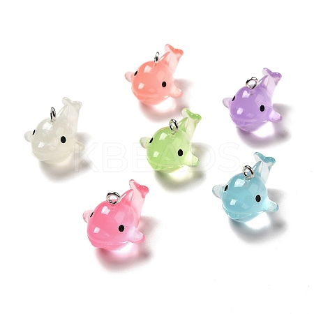 Luminous Translucent Resin Pendants RESI-A017-07-1