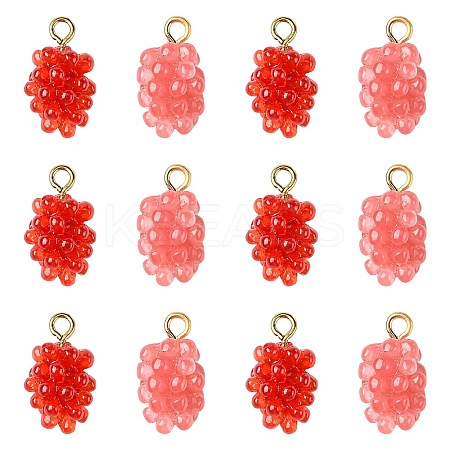 12Pcs 2 Colors Resin Pendants RESI-CJ0004-71-1