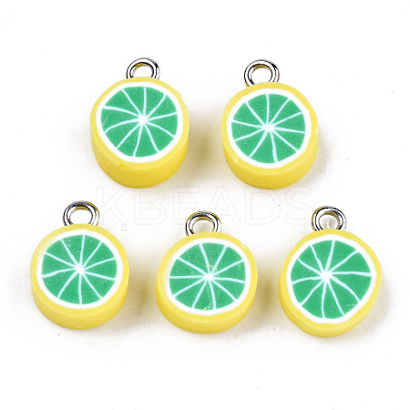 Handmade Polymer Clay Charms CLAY-T016-59B-1