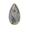 Natural Labradorite Pendants PW-WGD145F-07-1