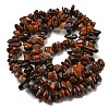 Natural Red Pietersite Beads Strands G-G905-16-3