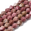 Natural Rhodonite Beads Strands G-Z119-A14-02-3