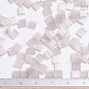 MIYUKI TILA Beads SEED-JP0008-TL2553-2