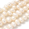Natural Cultured Freshwater Pearl Beads Strands PEAR-A006-29C-X-2