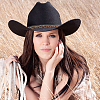 3Pcs 3 Styles Crystal Rhinestone Southwestern Cowboy Hat Belt DIY-CP0009-17B-4