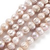 Natural Cultured Freshwater Pearl Beads Strands PEAR-C003-01D-2