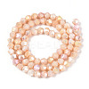 Ombre Effect Dyed Glass Beads Strands LS-GLAA-T025-4mm-09A-2